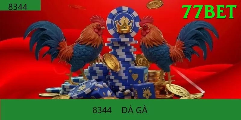 Đá Gà Trực Tiếp - Ưu đãi đặc biệt - Âm thanh sống động